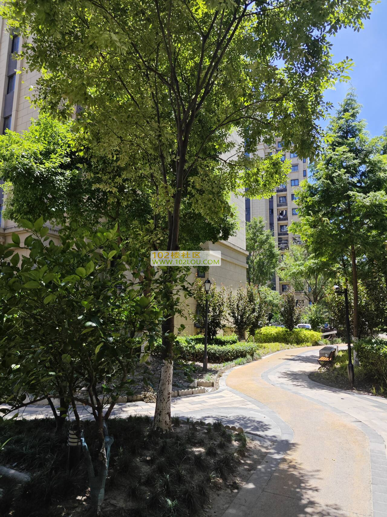 小区.png